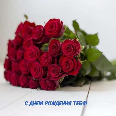 Шикарные розы на фото: выберите формат для поздравления