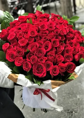 Изображение роскошных роз на странице празднования дня рождения