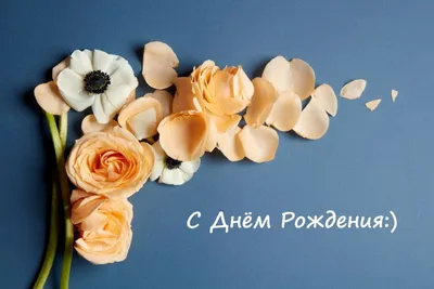 Фото идеальных роз на странице с днем вашего рождения: формат jpg