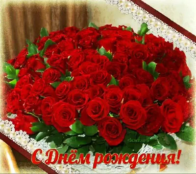 Фото великолепных роз с днем рождения: формат jpg