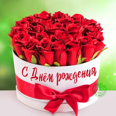 Изображение шикарной розы в формате png: поздравление с днем рождения