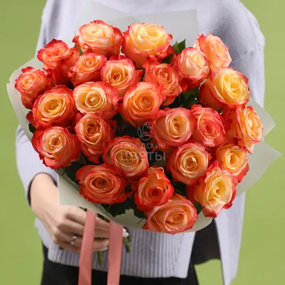 Фотографии роскошных роз в невероятно высоком качестве