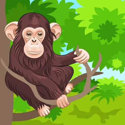 Жизнь смеха в обезьяньем стиле: улыбайтесь вместе с шимпанзе