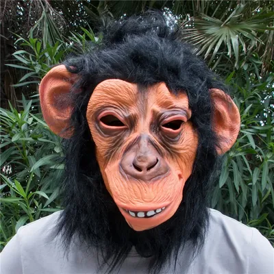 Лица, наполненные смехом: шимпанзе в фотографиях, которые смешат