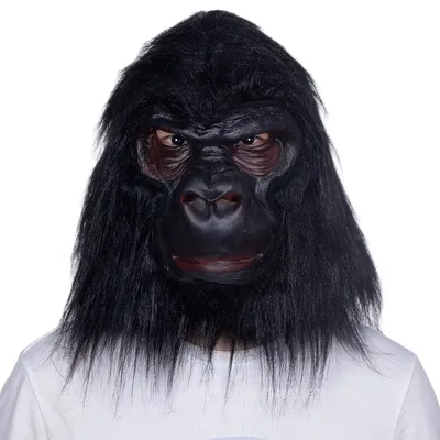 Фоткa: Шимпанзе в арт-стиле 2024 года