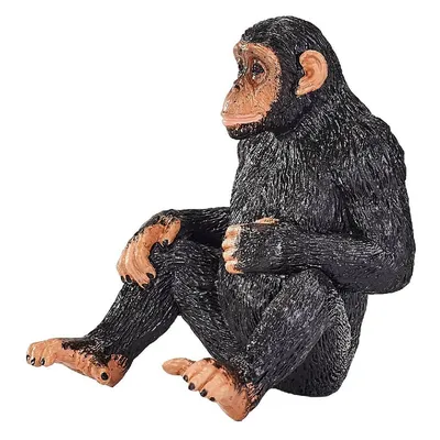 HD обои на рабочий стол: Живописные портреты Шимпанзе