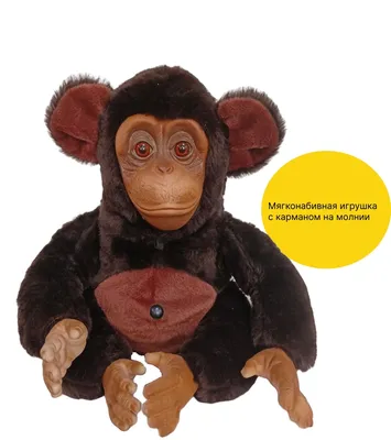 Фотографии арта обезьян: Эстетика природы в объективе