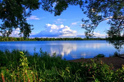 Природная красота Широка река: запечатленная на фото