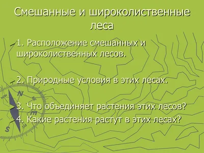 Скачать: Широколиственные леса - загрузите и насладитесь природой