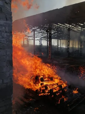 Школа в огне - неповторимая фотография - скачать бесплатно