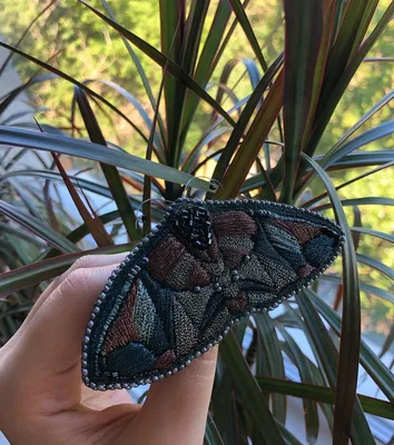 Шоколадница бабочка - Удивительное фото в формате PNG