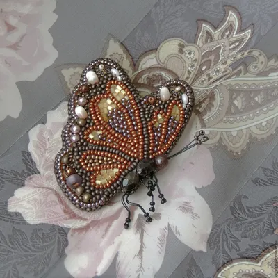 Фотка бабочки Шоколадница - Фантастическое изображение для скачивания