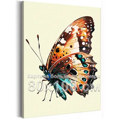 Шоколадница бабочка - Прекрасная картинка в формате JPG