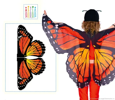 Шоколадница бабочка - Потрясающая фотография для декорации