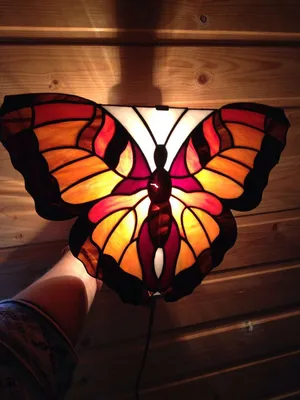 Шоколадница бабочка - Потрясающая картинка в формате JPG