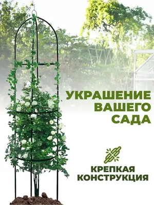 Картинка шпалеры для роз: выбор между доступными размерами