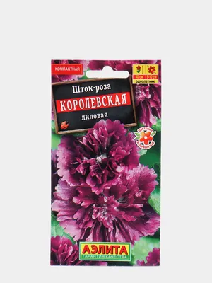Шток роза королевская: большие фото для скачивания