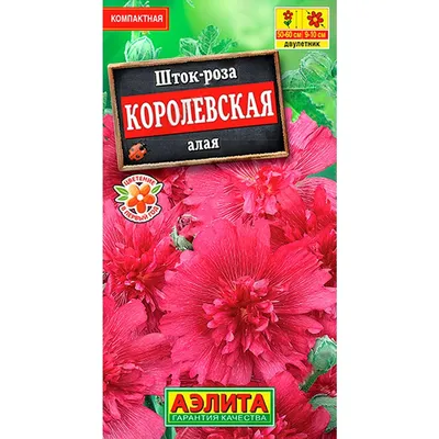 Изображение Шток роза королевская в png формате