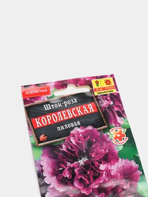Шток роза королевская: разнообразные фотографии для загрузки
