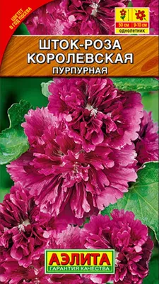 Шток роза королевская: выберите подходящий размер изображения