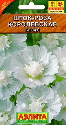 Шток роза королевская в формате jpg: выберите размер