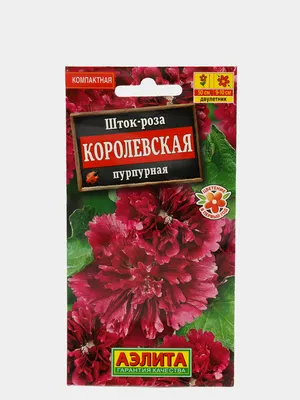 Фотография Шток роза королевская: выберите подходящий размер