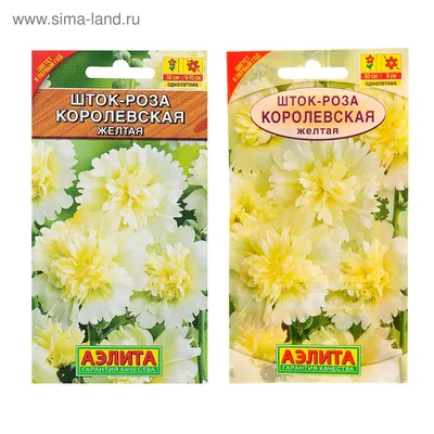 Картинка Шток роза королевская: выбирайте формат и разрешение