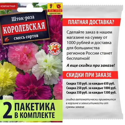 Фото Шток роза королевская с разными опциями размеров и форматов