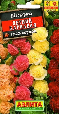 Фотка розы Летний карнавал в формате png для вас