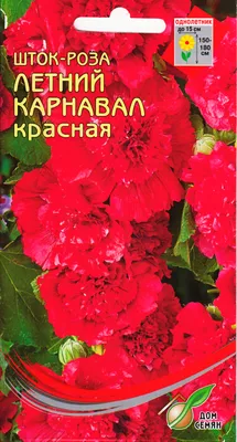 Фотография розы Летний карнавал с разными размерами