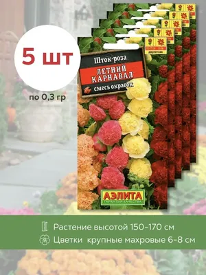 Изысканное изображение штока розы Летний карнавал в высоком разрешении
