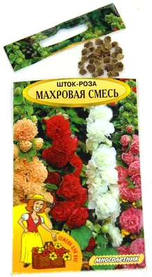 Шток роза махровая - фото в формате png, размер XL