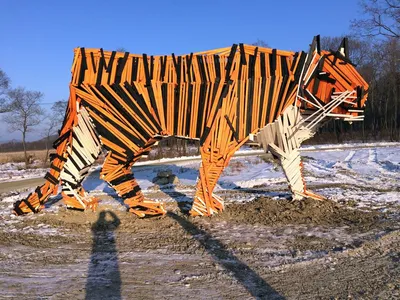 Зимний портрет природы: Фотка Штыковских прудов в WebP