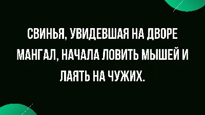 Шутка дня: Новое изображение для скачивания в хорошем качестве