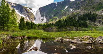 Пейзажи Сибирской тайги: скачивай фото в высоком качестве.