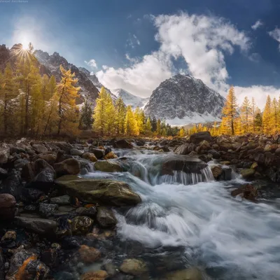 Летний рай: Фото ярких и зеленых сибирских ландшафтов