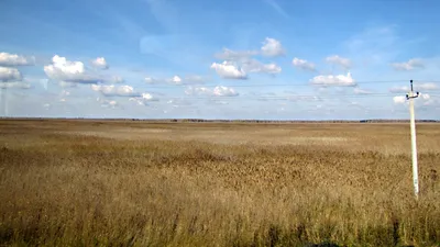 Ледяные чудеса: Фотографии заснеженных сибирских пейзажей зимой