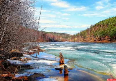 Сибирские просторы: Фотографии бескрайних лугов и полей