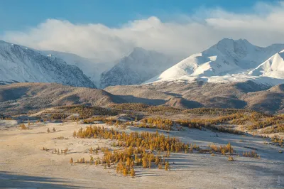 Фото Сибирских пейзажей в HD: Зимние чудеса