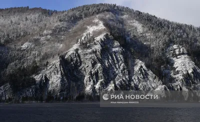 JPG изображения Сибирской тайги: Зеленая аура