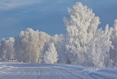 Искусство зимней природы: Фотографии Сибири