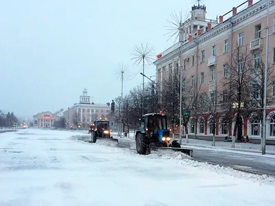 Зимние контрасты: Фотографии черно-белых зимних сцен