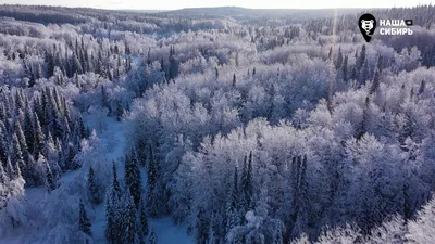 Зимнее вдохновение: Фотографии снежных пейзажей Сибири