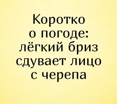 Ветреные комические моменты: смешные снимки, связанные с сильным ветром!