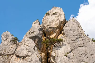 Фото горы Кошка в Симеизе: бесплатно скачать в формате PNG