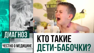 Фото бабочки: прикосновение к миру чудес