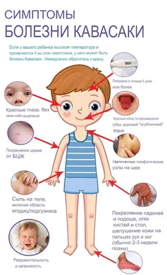 Фото бабочек: искусство превращения