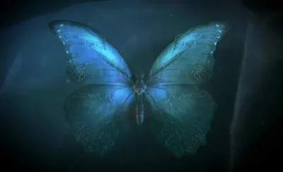 Изображения синдрома бабочки с эффектом трехмерности