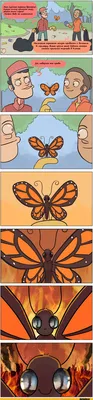 Фото, изображение и картинка бабочек в формате JPG с возможностью скачивания