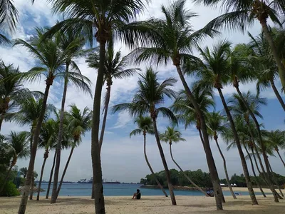 Сингапурские пляжи: место, где сходятся небо и море